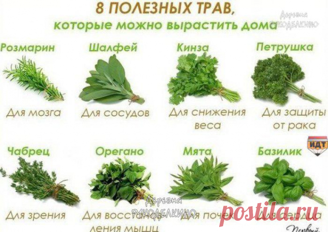 Новости