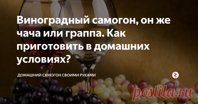 Виноградный самогон, он же чача или граппа. Как приготовить в домашних условиях? Если на ваших виноградных плантациях (которые могут состоять из нескольких кустов) созревает урожай, то вы обязаны использовать каждую ягодку винограда с максимальной пользой. Рассмотрим, как приготовить вкусный виноградный самогон у себя дома.
Кроме того, что самогон виноградный принято называть чачей или граппой, его еще именуют коньячным спиртом.