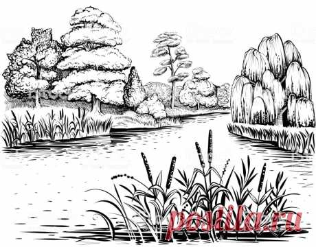 Раскраски Природа. Пейзаж, лес, горы, море, остров