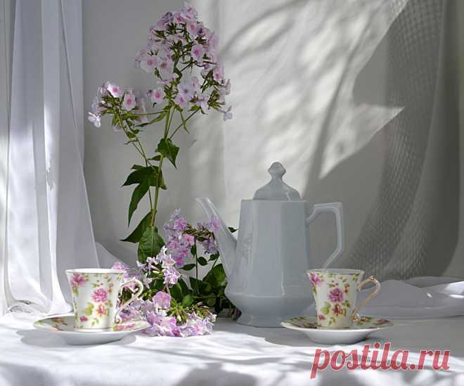 Фотография *** из раздела натюрморт №5632205 - .сайт - Photosight.ru