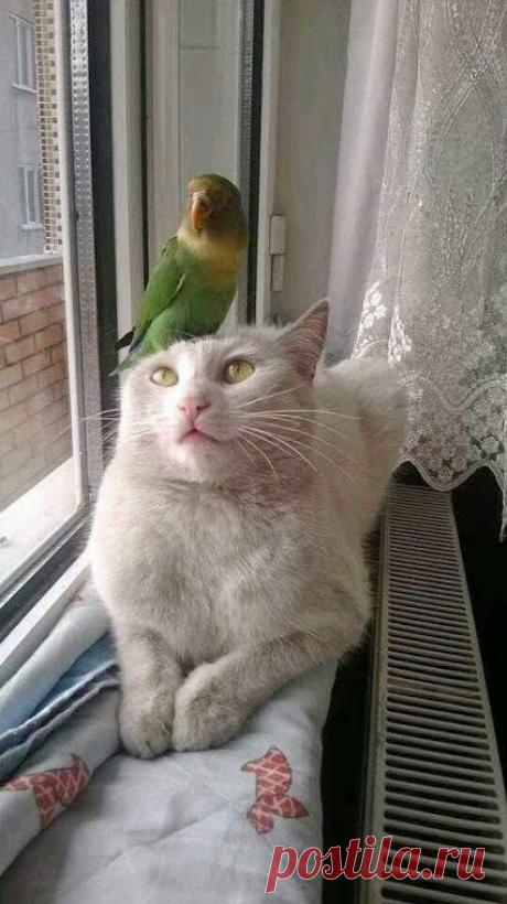 Популярное – Google+