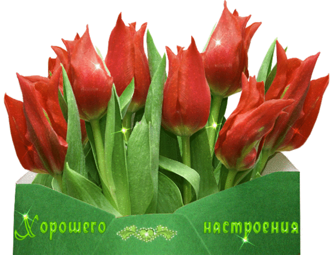 Музыкальная открытка "Хорошего настроения" | В гостях у тамады!