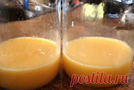 Антибиотик в домашних условиях