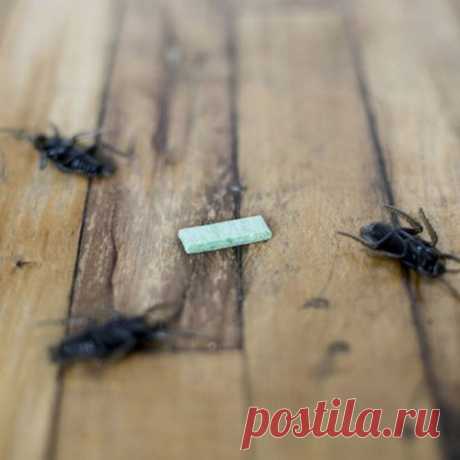 Скрытый резерв: жвачка