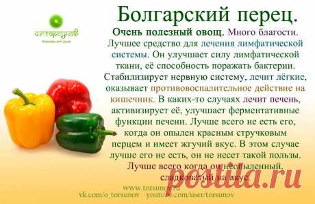 Болгарский перец