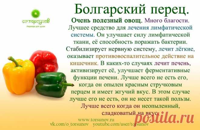 Болгарский перец