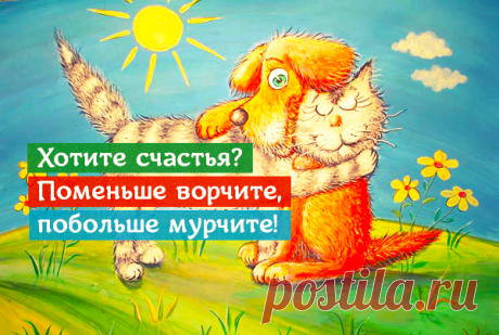 Совет дня.