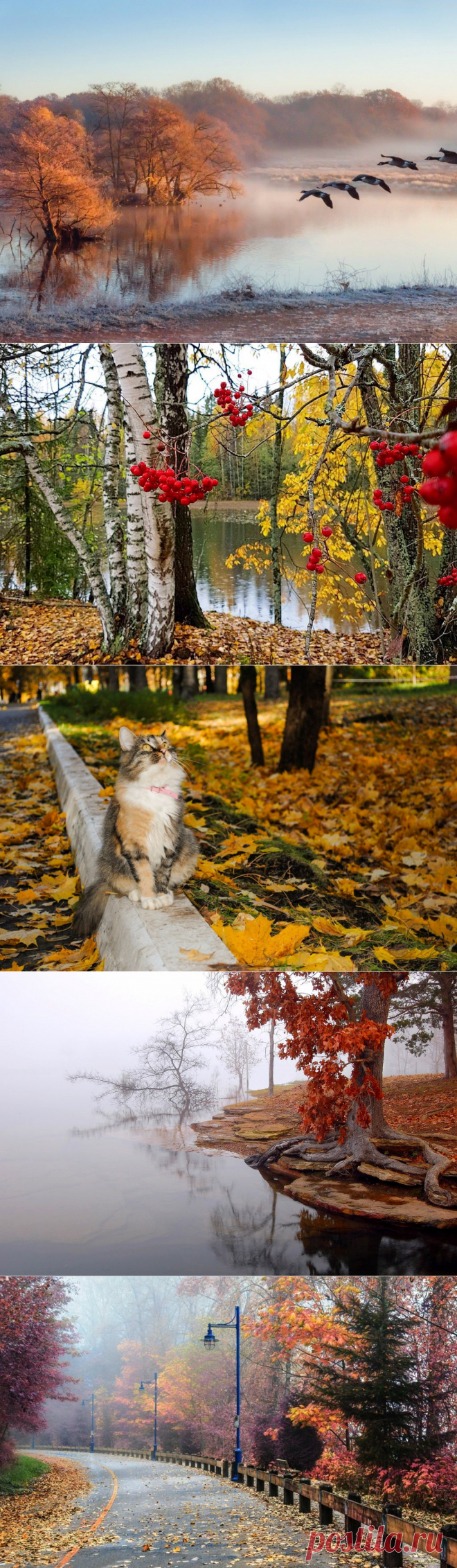 Красота осенних пейзажей.