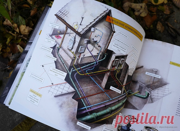 Эта книга продолжает серию историй о мышонке Арни, воробье Билле и лягушонке Кристиане. Арни женится на своей давней подруге Люси, и теперь им нужен свой дом! Как всегда, неутомимые герои берутся за всё своими руками. Стройка — дело хоть и увлекательное, но очень непростое. А еще — чудесная тема для обсуждения отца и сына.