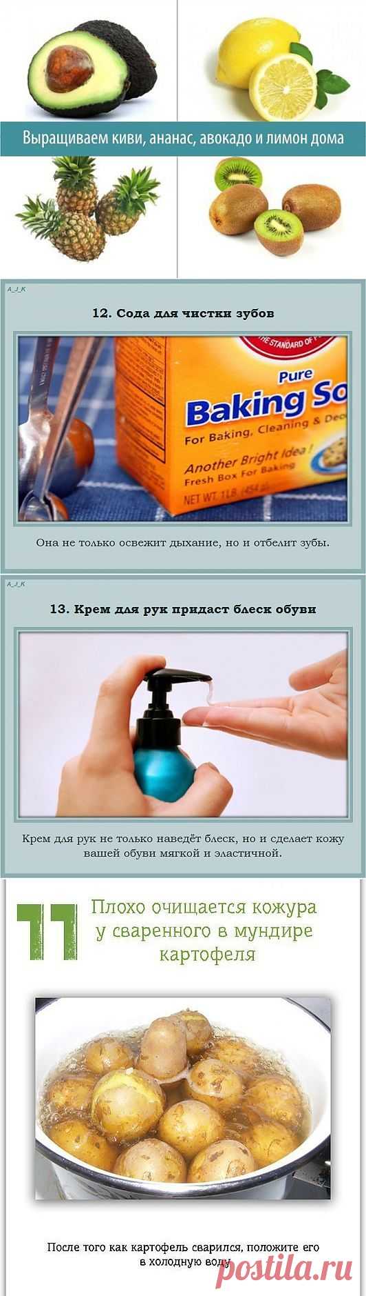 для дома | Записи в рубрике для дома | Дневник DAMOCHKA-GALOCHKA-mechta