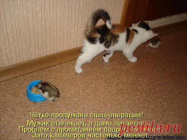Интересные новости