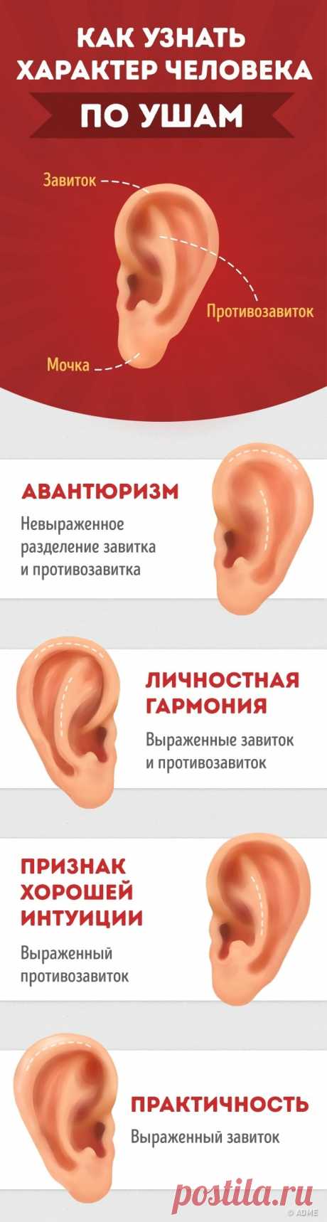 Как узнать характер человека по ушам