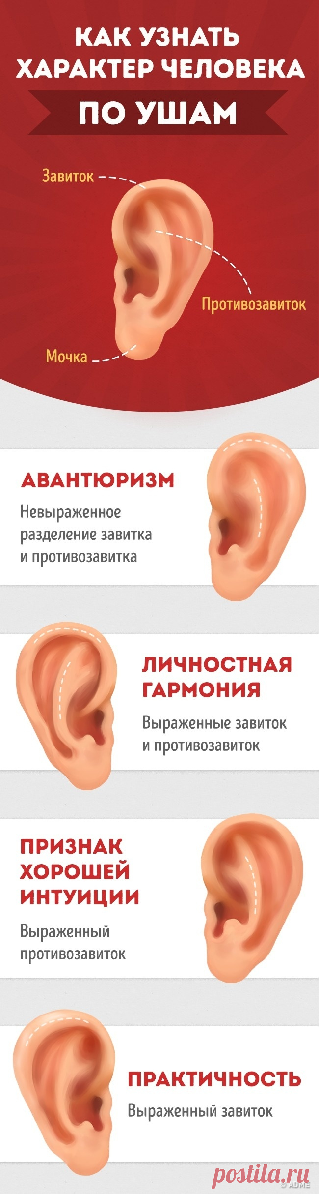 Как узнать характер человека по ушам
