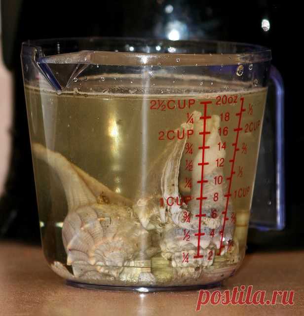 Море, солнце, песочек и...ракушки! / Декор / Интересные идеи декора