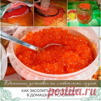 КАК ЗАСОЛИТЬ КРАСНУЮ ИКРУ В ДОМАШНИХ УСЛОВИЯХ
Сегодня практически ни одно праздничное застолье не обходится без бутербродов с красной икрой. Но угощение это не из дешёвых. А вот те, кто знает, как засолить красную икру в домашних условиях, выигрывают во многом.
Они могут и значительно сэкономить — ведь домашняя красная икра обходится гораздо дешевле, — и побаловать себя красной рыбкой. Тем же, кто не знает, как готовить красную икру самостоятельно, помогут наши советы и рецепты.
Выбор п