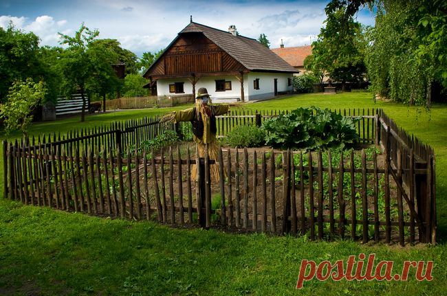 Несколько советов по выращиванию рассады в домашних условиях В середине марта — самое время подумать по посеве рассады в домашних условиях. Для того, чтобы не разочароваться в результате, необходимо понимать, как правильно выбрать семена, как подобрать грунт, а самое главное — как высадить