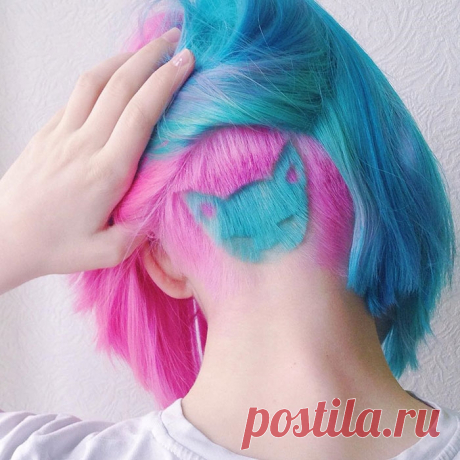 Бирюзовый кот, выбритый на затылке — яркая стрижка, взорвавшая Instagram (9 фото) | Чёрт побери