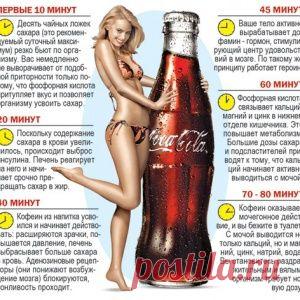 Реалистично о нереальном | Хвастунишка