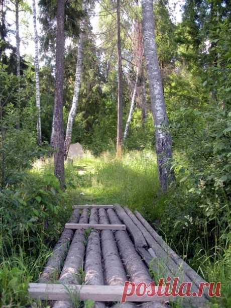 Лесной мостик