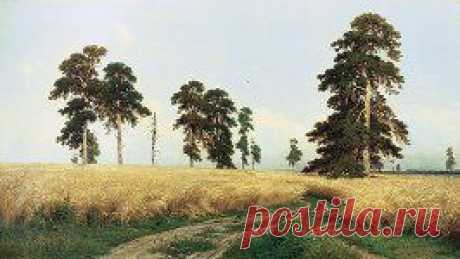 картинки рожь - 35 тыс. картинок. Поиск Mail.Ru