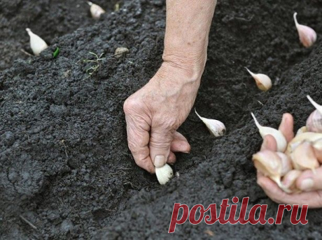(9) Одноклассники