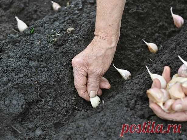 (9) Одноклассники