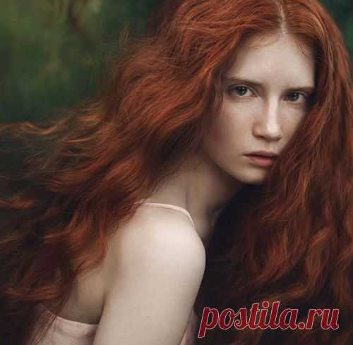 Программа восстановления волос: практическое руководство