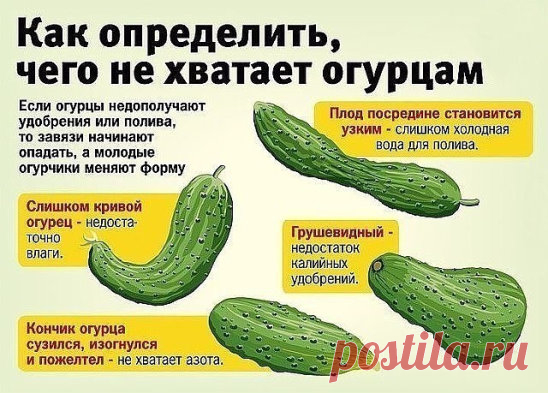 #таблица