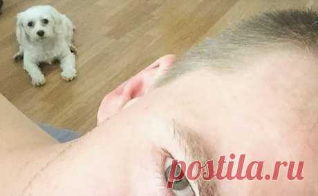 Научная точка зрения: вот почему собаки любят ходить по пятам за хозяином | Чёрт побери Одна из причин, почему люди заводят собак, это та безграничная любовь, которой пушистые создания готовы делиться со всеми, кто находится рядом с ними. Например, когда я прихожу домой в плохом настроении, на моем лице моментально появляется улыбка, когда я вижу моего питомца, виляющего хвостом, словно это миниатюрный пропеллер.  Собаки обожают совать свои влажные носы в нашу жизнь. Они г...