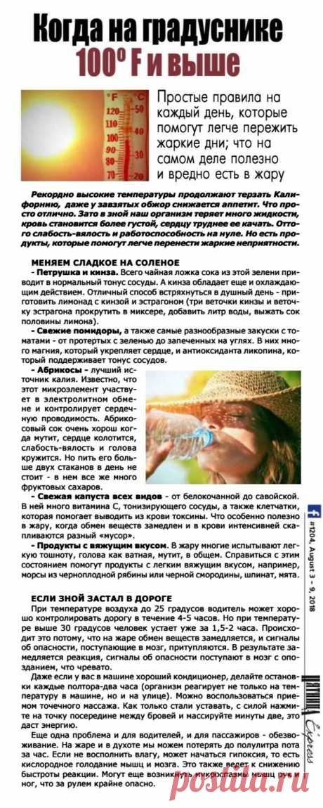 Что полезно и вредно есть в жару