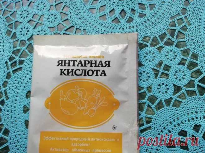 Чем подкормить декабрист в ноябре: лучшее, что можно придумать. Чем подкормить декабрист в ноябре для яркого цветения.