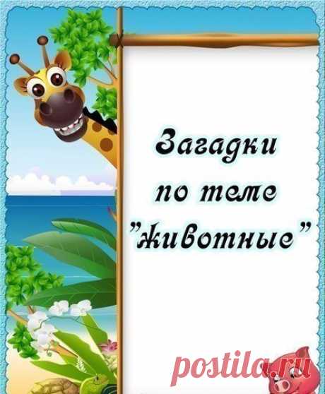 Загадки по теме &quot;Животные&quot; Сохраните себе, чтобы не потерять 📌