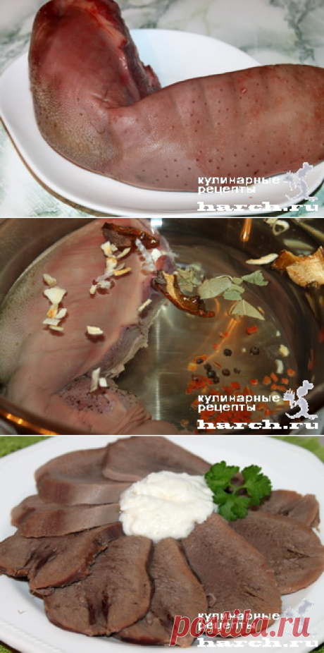 Язык соленый