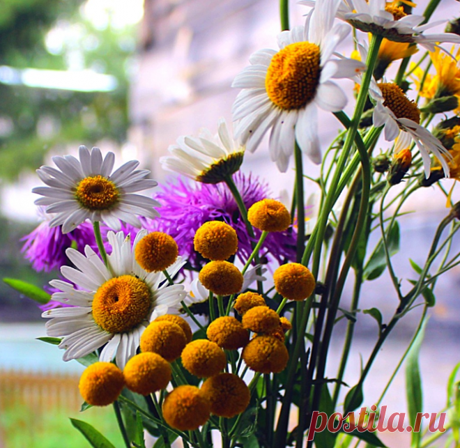 *** СЧАСТЬЕ -- ЭТО ТАК ПРОСТО...***