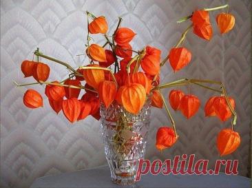 Пин на доске for the fall