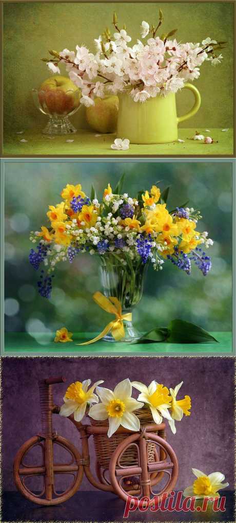 Предчувствие весны...фотонатюрморты Ани Собко.