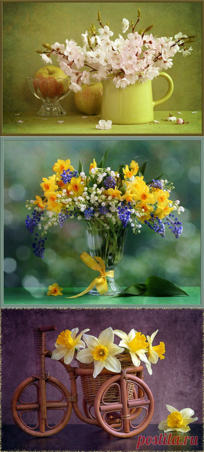 Предчувствие весны...фотонатюрморты Ани Собко.