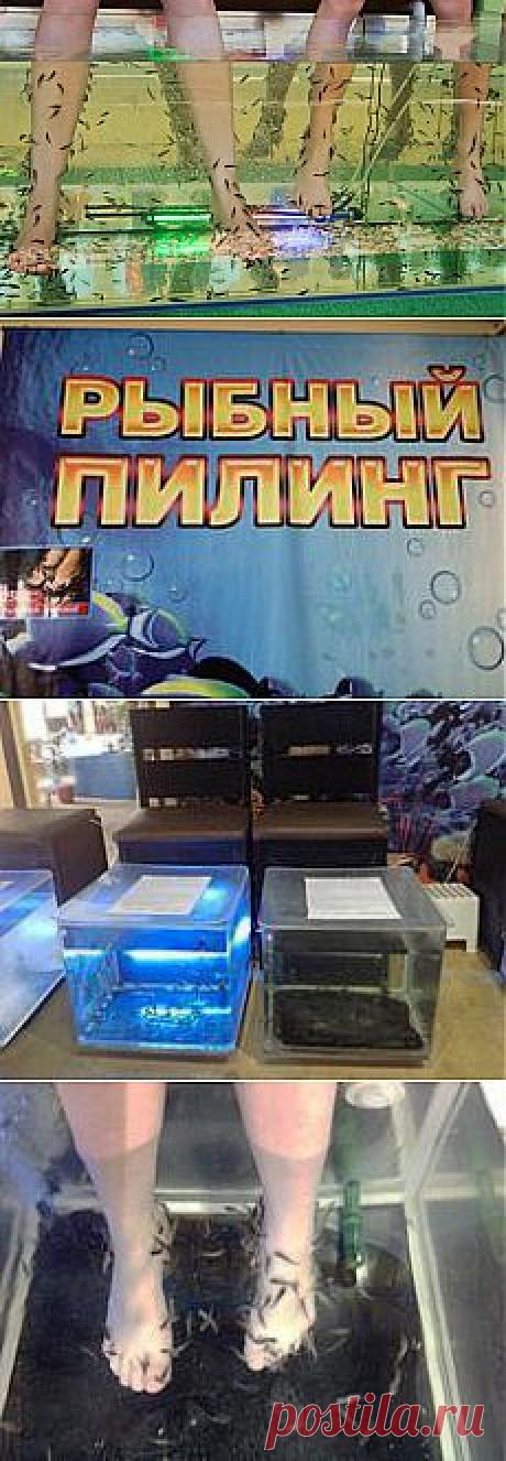 «Рыбный пилинг». Что это такое? | Красота и здоровье