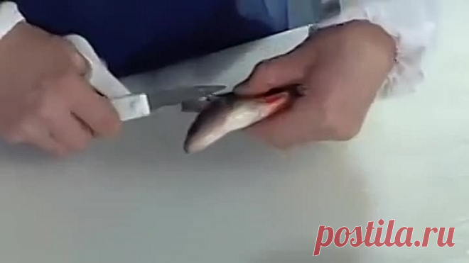 (11) Одноклассники