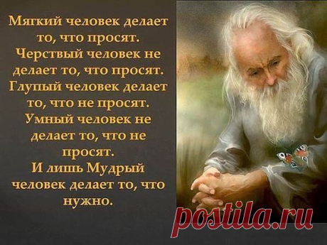 Фразы в картинках...