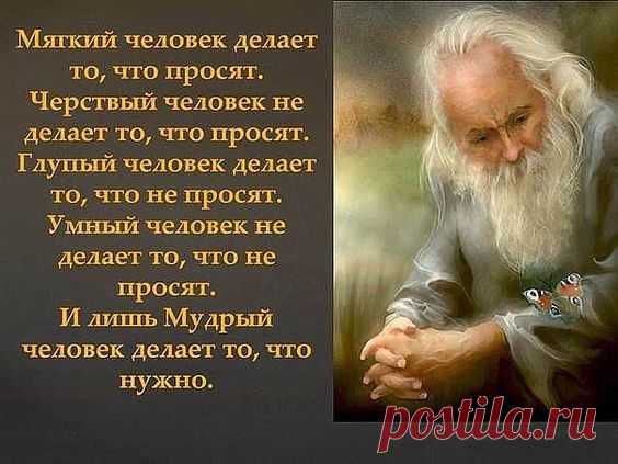 Фразы в картинках...