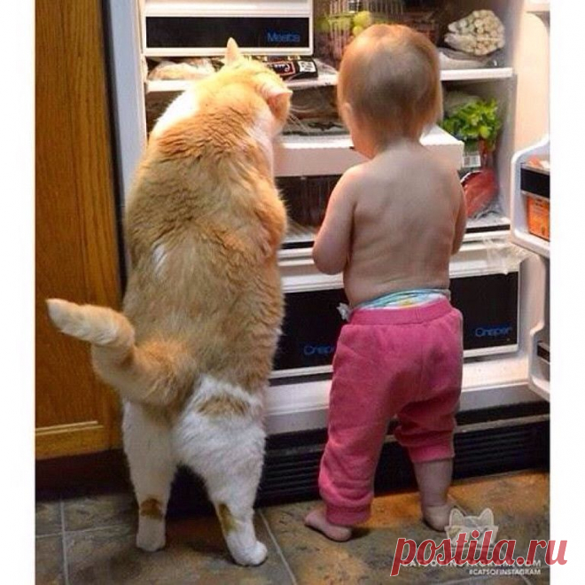 Мой Мир@Mail.Ru