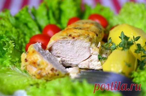 Куриное филе в сливочном соусе + 43 рецепта куриных запеканок