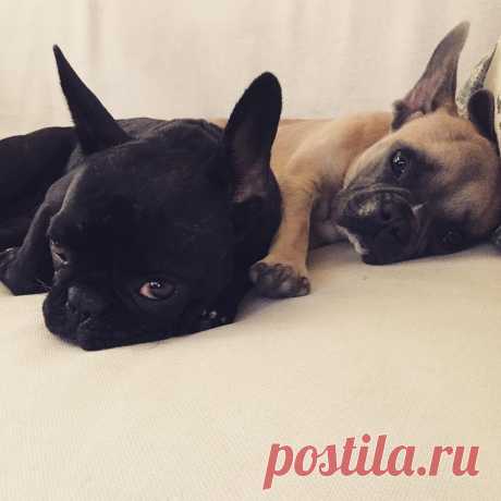 (2) Facebook
