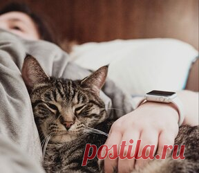 Женщины — обладательницы самого тяжелого характера по знаку Зодиака Не все представительницы прекрасного пола так робки и нежны, какими хотели бы их видеть мужчины. Хорошо это или нет, но многие дамы способны руководить огромной компанией и своим собственным мужем так, что многим мужчинам и не снилось. Женщины каких знаков Зодиака имеют особенно сложный характер? Женщина знака Скорпион. Неважно, о мужчинах или женщинах этого знака идет речь, но в подобных рейтингах они всегда лидируют.