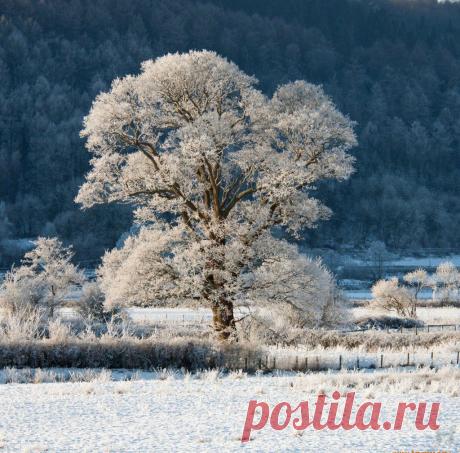 Мой Мир@Mail.Ru