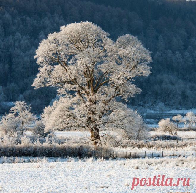 Мой Мир@Mail.Ru