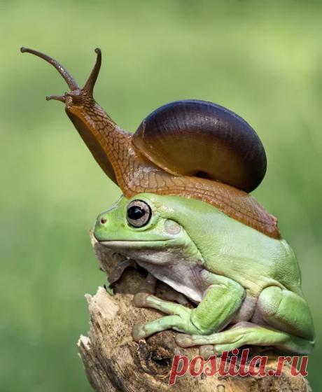 Valentina D - Google+