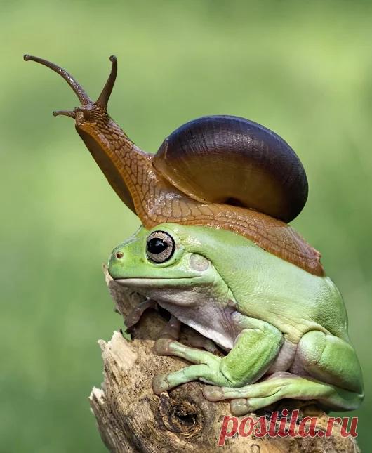 Valentina D - Google+