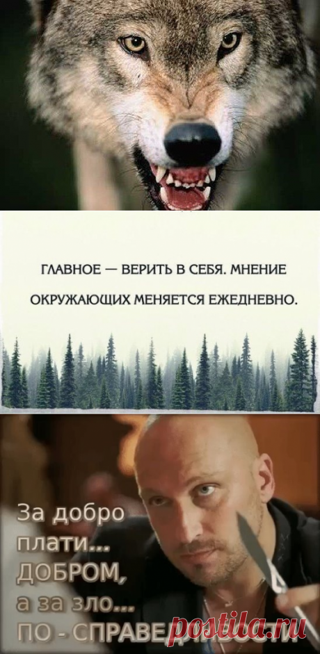 Одноклассники
